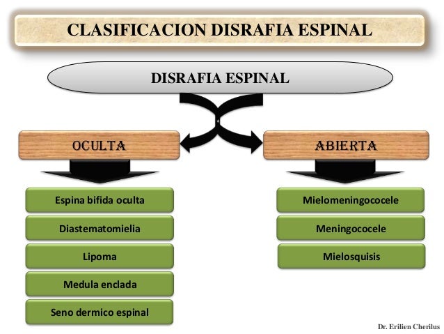 view visions prophecies and divinations early modern messianism and millenarianism in iberian america spain and